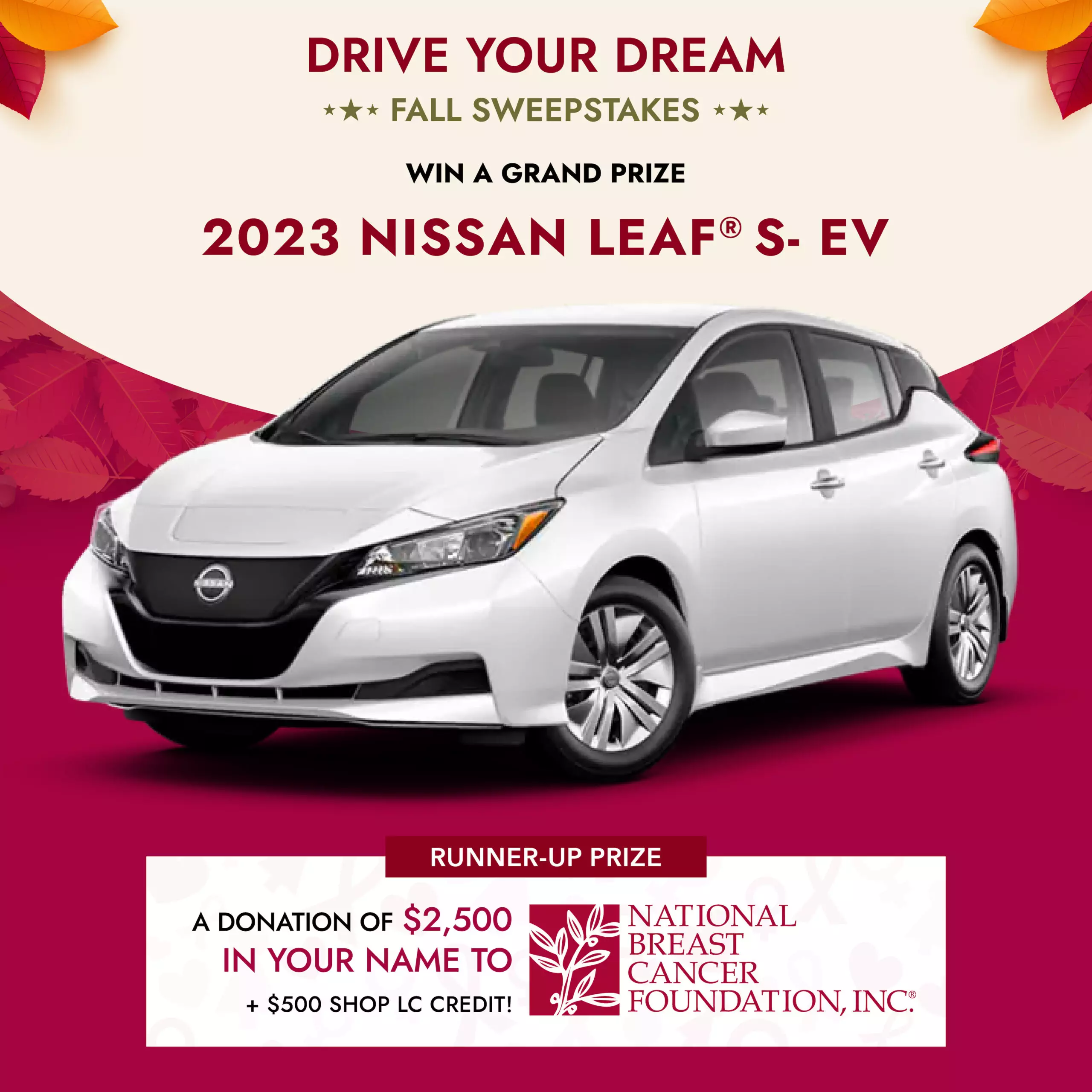 Electric Car Giveaway: Drive Your Dream Fall Sweepstakes | Shop LC