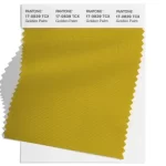 PANTONE_17-0839_TCX_Golden_Palm-swatch_2x